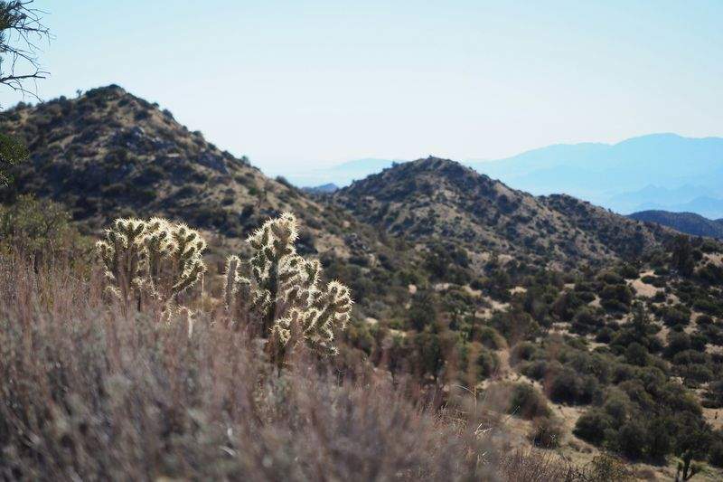 トラベルジャパンエクスペリエンス - Image 6