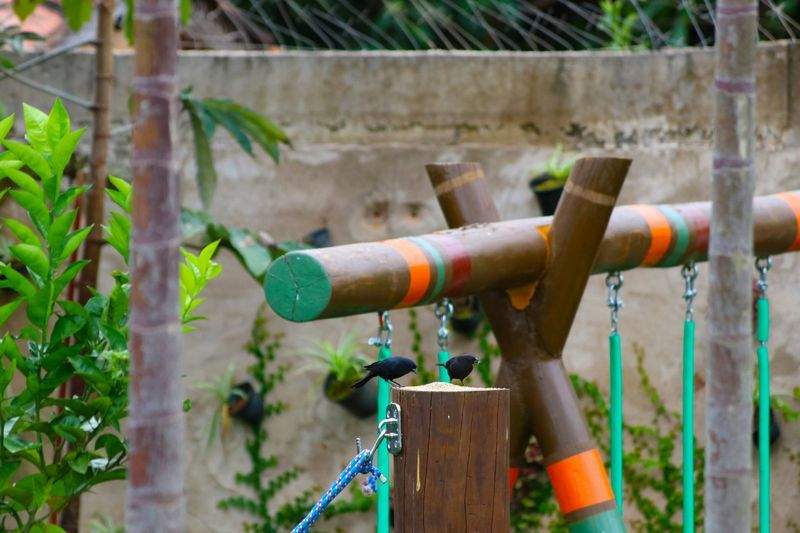 トラベルジャパンエクスペリエンス